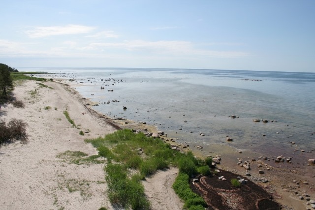 Ruhnu lõunarand karuga