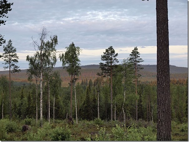 Arctic Circle 24h seiklusvõistlus