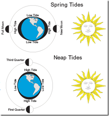 Spring ja Neap tide