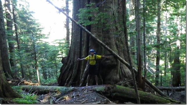 Silent Running Darrington